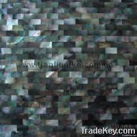 shell mosaic, mother of pearl , shell tile , oversea shell , river shell