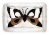 https://jp.tradekey.com/product_view/Alpaca-Fur-Butterfly-Rug-46709.html