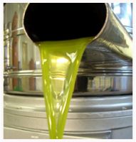 OLIVE OIL