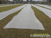 agricultural nonwoven fabric