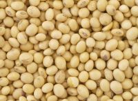 Soybeans