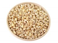 Barley