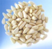 pine nut kernel