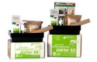 Organic Wheatgrass Growing Kits