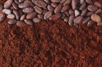 ALKALISED OR DUTCHED COCOA POWDER OF 10-12% FAT CONTENT