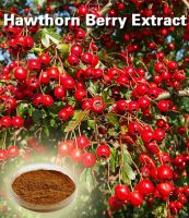 hawthorn extract/Vitexin rhamnoside/ Flavone
