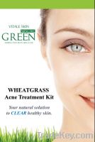 Wheatgrass Acne Treatment Kit