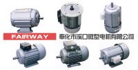 JW Series Three-Phase Asynchronous Electric Motor