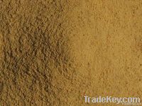TOASTED SOYBEAN MEAL 46% PROTEIN