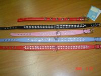 Pet collars