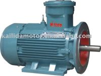 Explosion Proof Motor (AC Three Phase Electric Motor)
