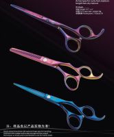 Professional Titanium Hair Scissors