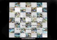 Shell Mosaic Tiles Decoration freshwater shell & abalone shell SPP014