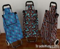 Foldable shopping trolley/shopping trolley bag