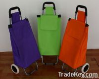 Foldable shopping trolley/shopping trolley bag