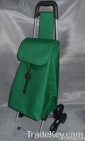 Foldable shopping trolley/shopping trolley bag
