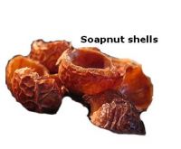 Soapnuts (Whole, Half shells and Powder)