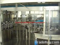 Mineral Water Bottling Plant CGF32-32-12