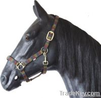 Combination Color Standard Padded Halter