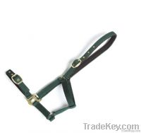 Semi Adjustable Padded Halter