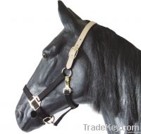 Nylon/Cow Leather Halter