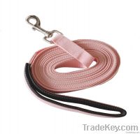 PP Webbing Lead With Bolt Snap