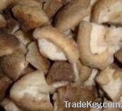 Frozen shiitake mushroom/ oyster mushrooms