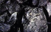 Steam Coal