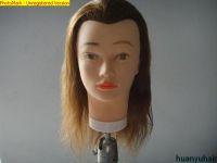 Training Head Mannequin