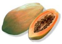 PAPAYA -sri lanka