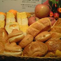 https://www.tradekey.com/product_view/Bread-Improver-For-Bread-Making-615641.html