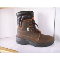 safety shoe T641