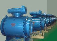 gate valve, globe valve, check valve, ball valve