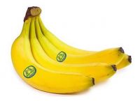 https://fr.tradekey.com/product_view/Banana-From-Ecuador-621101.html