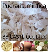 Pueraria mirifica, Thai Kudzu root, white kwao krua krao