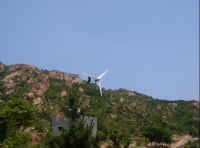 wind turbines and solar panel