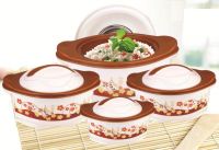 Plastic Hot Pot Casseroles