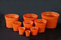 Plastic Flower Pot