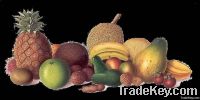 https://ar.tradekey.com/product_view/Fruit-Juice-Processing-Plant-2143114.html