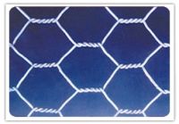hexagonal wire netting