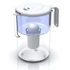 Dewberry Water Filter