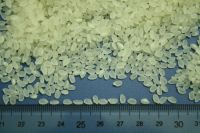 short rice/round rice