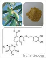 Olive leaf extract  Oleuropein