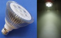 LED PAR30 Spot Bulb