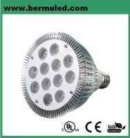 PAR38 LED spot lamp