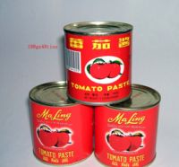 Tomato Paste Canned
