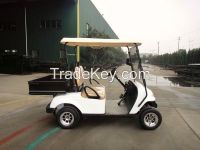 2 seater new shape golf carts TEV-G022FX2 steel / aluminium cargobox