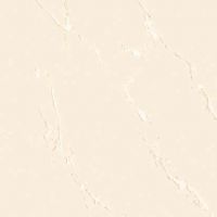 Polished tiles--saluble salt