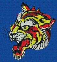 Embroidery Digitizing