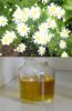 Pyrethrum Extract / Pyrethrins